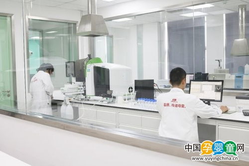 方广食品 成品还是自制,婴儿果泥挑选指南