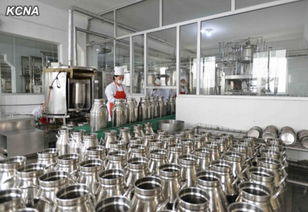 金正恩穿白大褂视察朝鲜儿童食品厂
